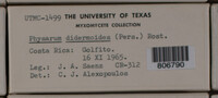Image Associated With the Occurence
